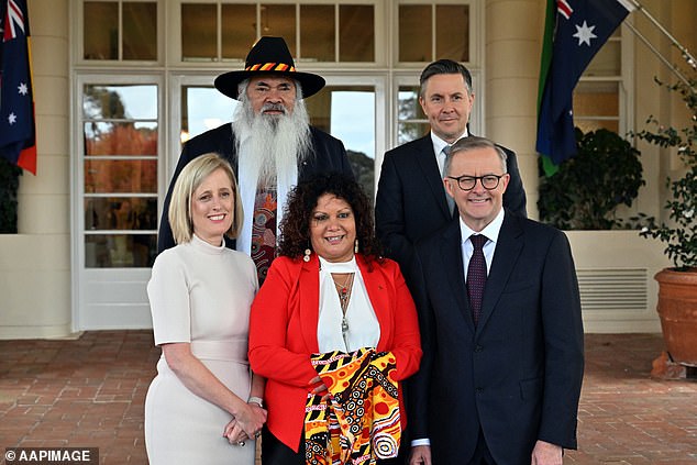 Federal public servants in Canberra, at the highest grade, are paid more than cabinet ministers who have been elected to Parliament and face the voters at least once every three years (pictured is Prime Minister Anthony Albanese (bottom, right) with Finance Minister Katy Gallagher （左）、卫生部长马克·巴特勒（后右）、澳大利亚土著人助理部长马拉恩迪里·麦卡锡（中）和工党参议员帕特·多德森）