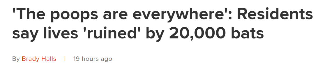 63edbac264f91.png 1.png