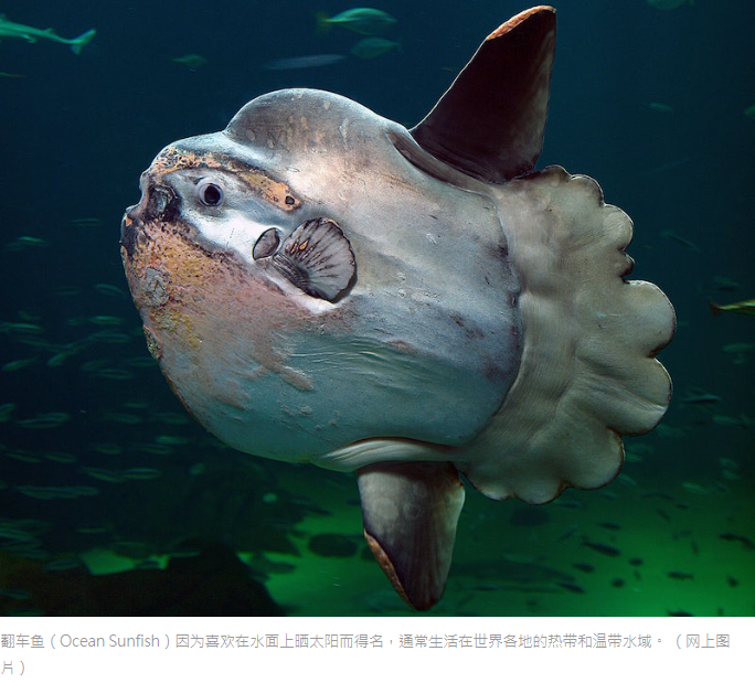 6439ff92989ec.png image.png