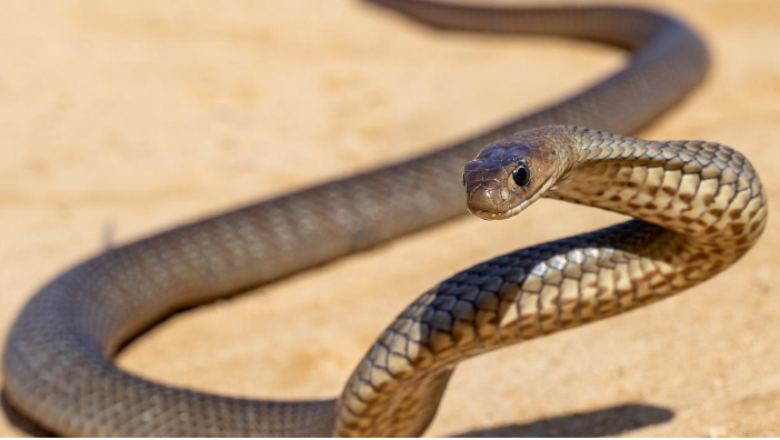 651d0dbec3fc8.png 3.png