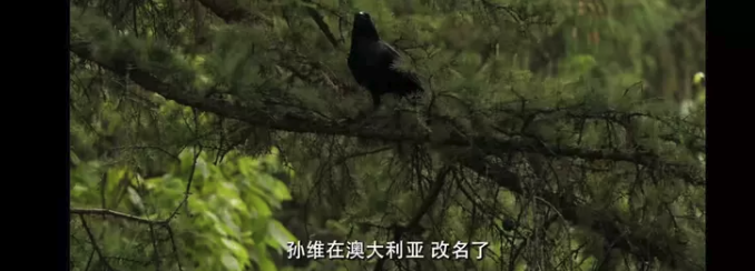 656162f451cf6.png image.png