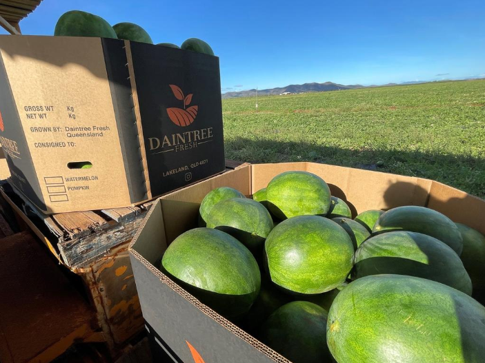 6567f28f1d6aa.png 3.png