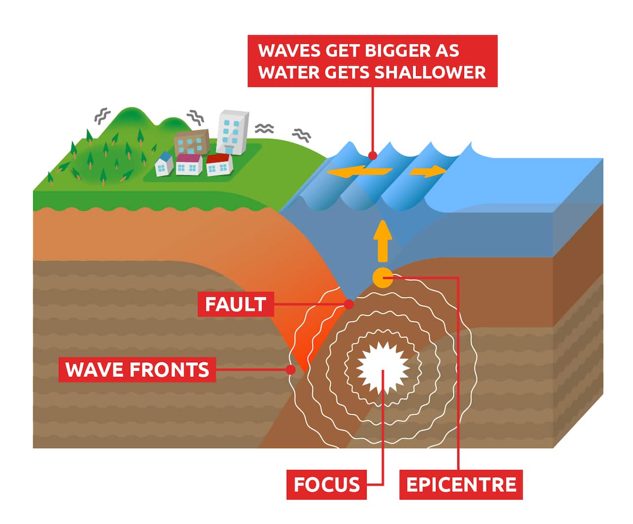 A diagram showing how tsunamis form