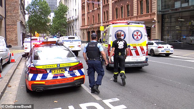 PA警车、救护车和急救人员在现场拍照