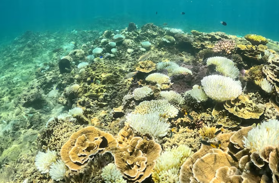 65f3f775ac32a.png 微信图片_20240315152247.png