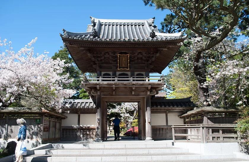 金门公园内有多处赏樱地点，日本茶园是最佳选择。(取自日本茶园网站）
