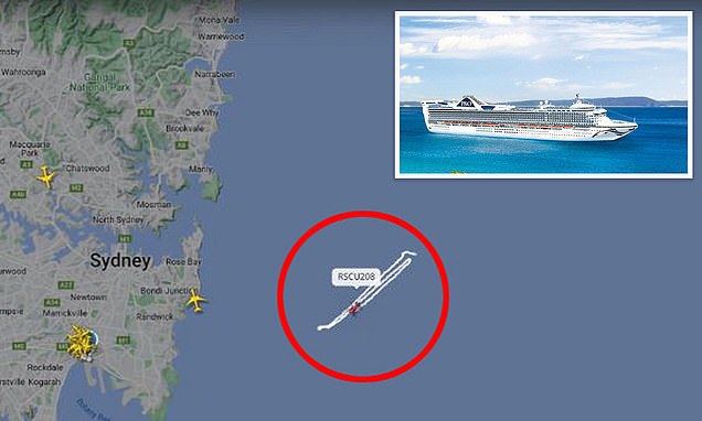 紧急搜寻可能在悉尼附近落水的 P&O 游轮乘客