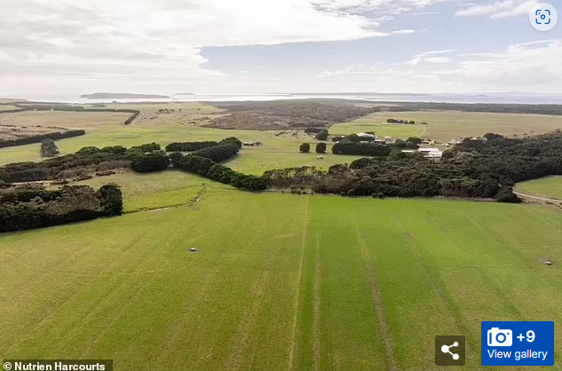 663831563abd3.png 5.png