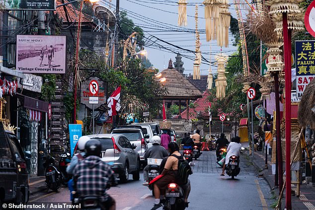Travellers are being advised to take precautions against the mosquito-borne disease in Bali (pictured) which can cause severe sickness and can even lead to death