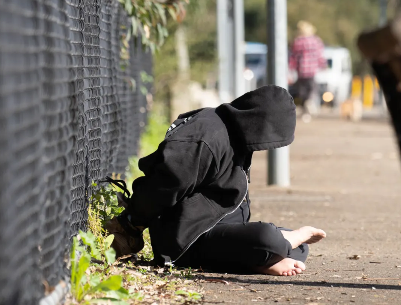 668f5db83a569.png 微信图片_20240711121816.png