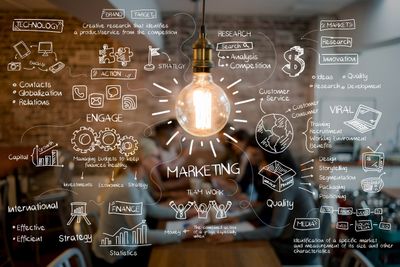 15. Marketing director