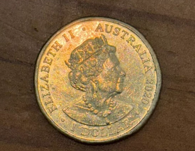 66cff15582cd2.png 3.png