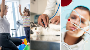 这些工作被AI取代的风险最低，年薪最高超$16万！放心冲！