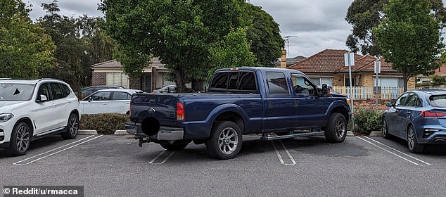 The department argued that certain plus-size tradie utes ' cannot practically comply with the standard' and should be permitted to be sold in Australia for longer without being replaced by electric or hybrid versions (pictured is a Ford F-150 ute)