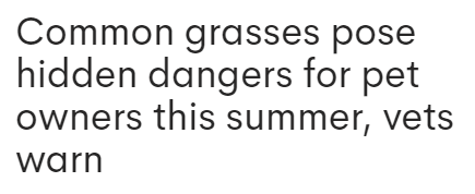 672eb9aa88954.png image.png