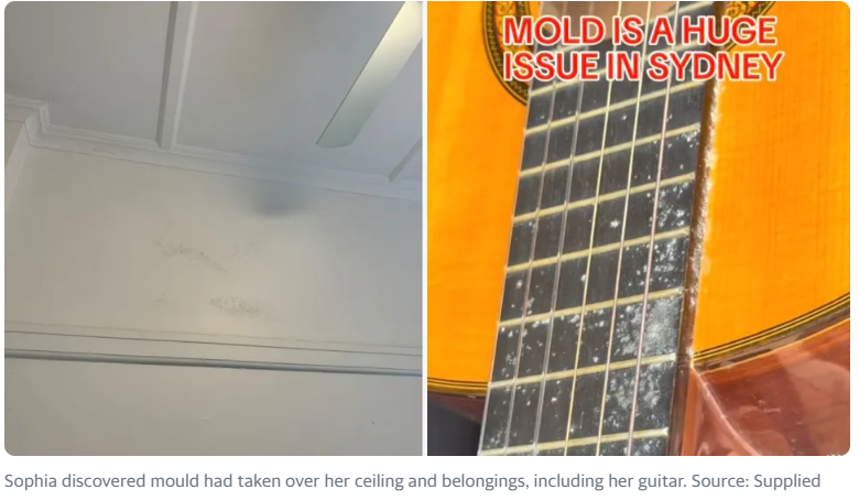 676235f982848.png 企业微信截图_17344879853462.png