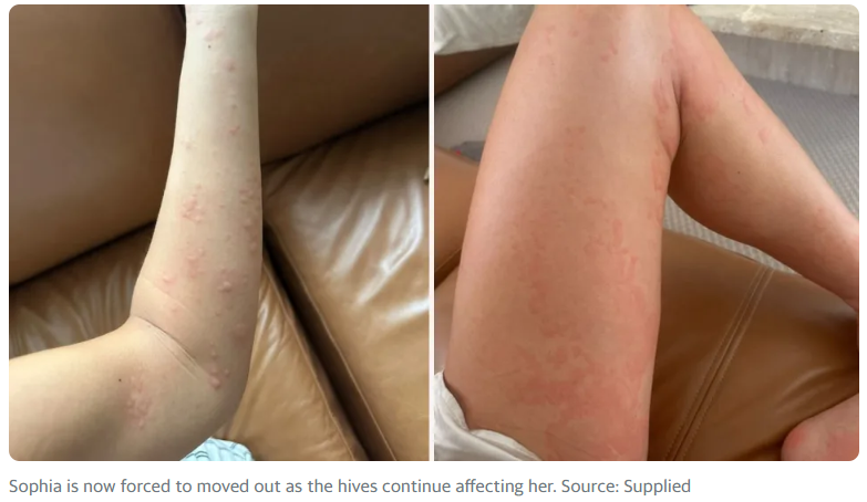 676235fe04453.png 企业微信截图_17344880222625.png