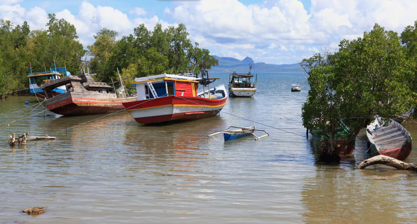 6764cc8ce591a.png 企业微信截图_17346566211998.png