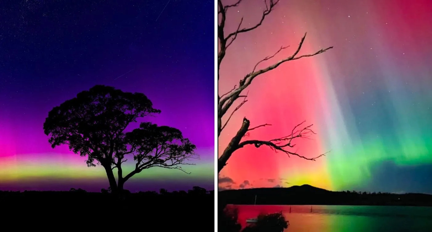 Aurora Australis lighting up a tree (left) and over water (right). 