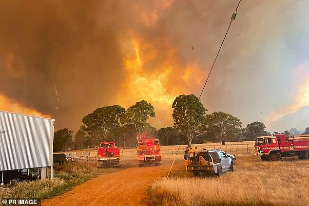 Fire crews pictured battling the Grampians blaze on Monday
