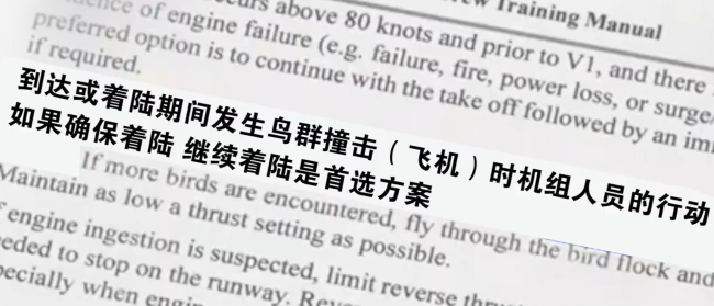 韩国济州航空培训手册部分内容公开遇鸟撞应着陆_中华网