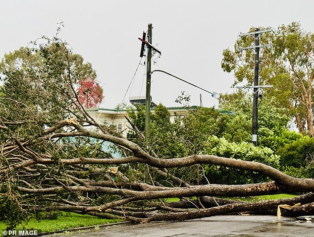 North Queensland has been hammered by wild weather this year, with winds and heavy rain wreaking havoc earlier this month (pictured: Townsville on February 10)