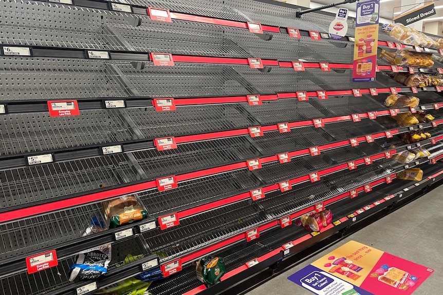 A supermarket with empty shelves