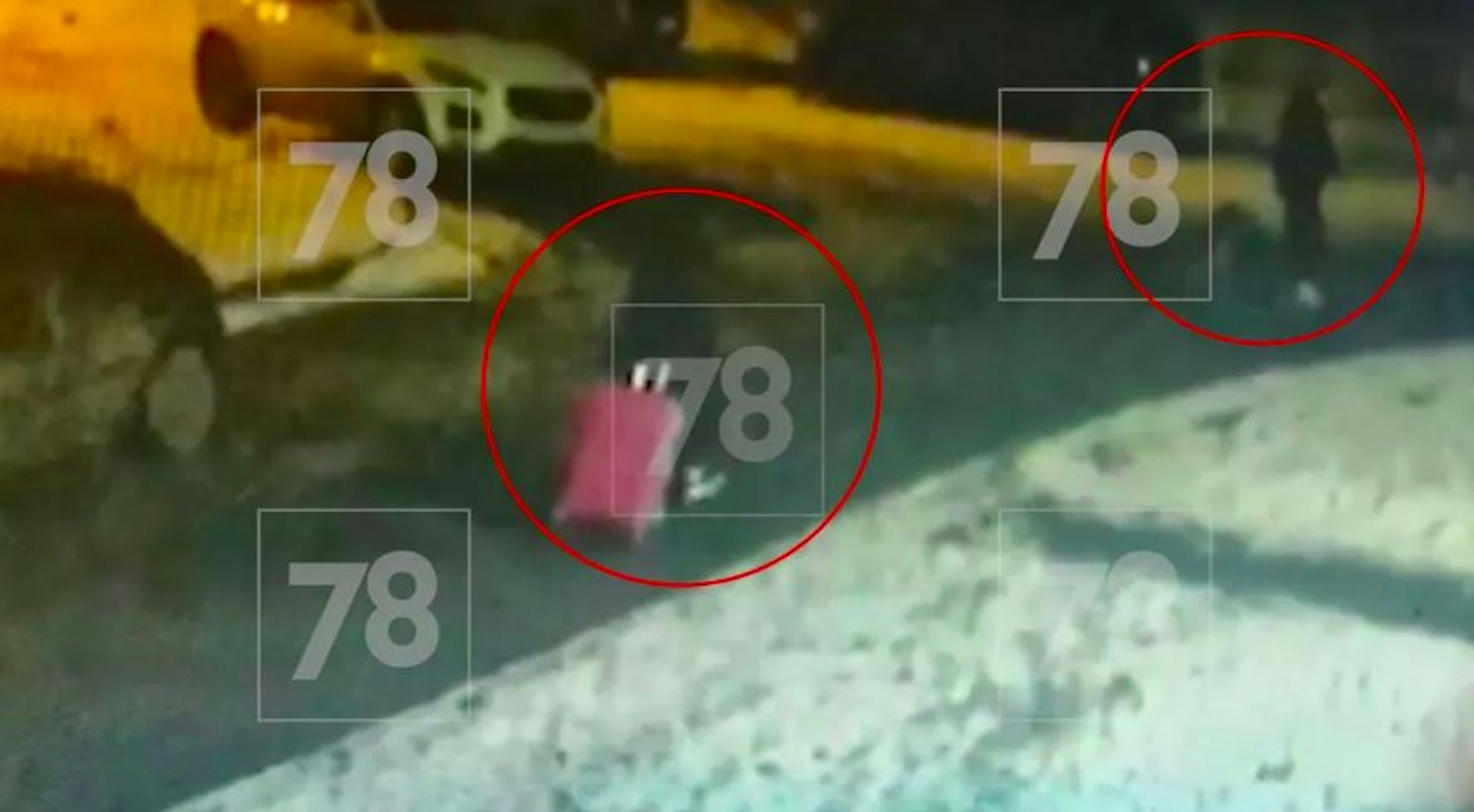 閉路電視（CCTV）畫面見到，有2名嫌犯帶着相關粉紅色和黑色相關行李篋到大橋遺棄。（網上圖片）