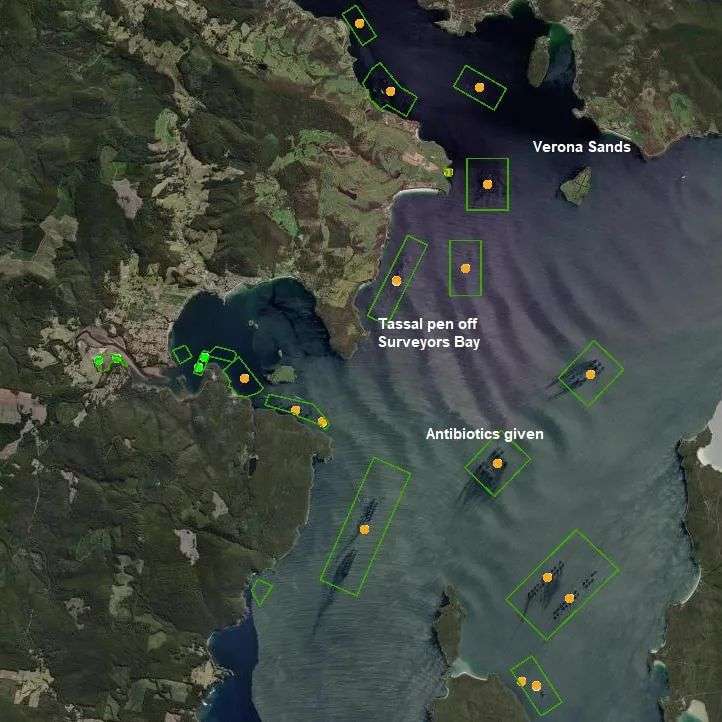 A map shows the marine fish farms in waters off Surveyors Bay and Verona Sands