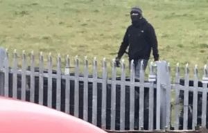 夫妻摊上地狱邻居，持弩骚扰，还投汽油弹？！他们崩溃想死，没想到邻居先自杀了...