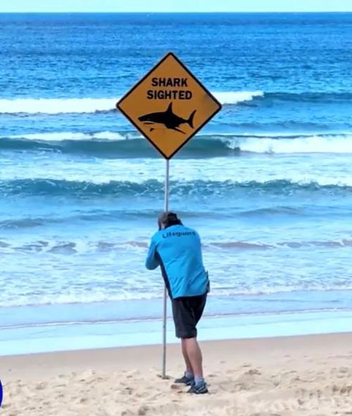 North Curl Curl Beach
