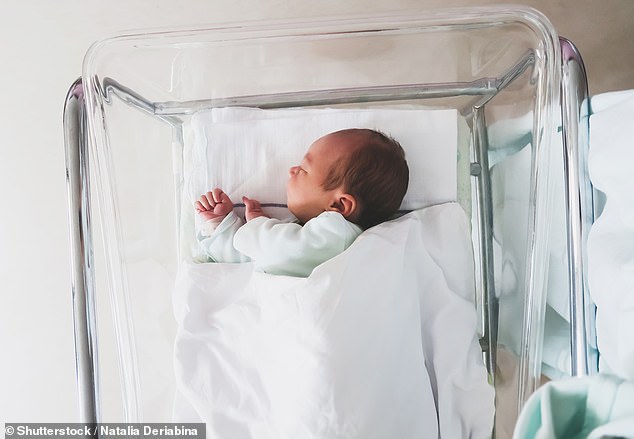 Australia's birth rate has halved since 1960 with 52 per cent of Aussies under the age of 35 delaying their family plans