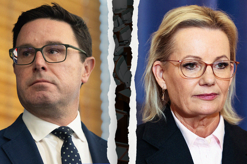 David Littleproud 和 Sussan Ley。