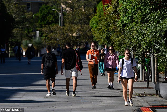 Liberal Senator Jonothan Duniam said the slide in results was 'simply not good enough' (pictured University of Sydney)