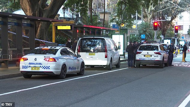 Several police vehicles were seen at the scene on Friday morning (pictured)
