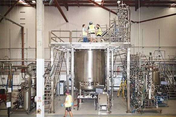Giant “meat fermentation” tanks inside Vow, the world’s leading cultured meat production company, based in Alexandria, Sydney.