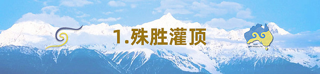 2025 第十二届澳洲噶举祈愿法会即将于8月盛大举行 - 17