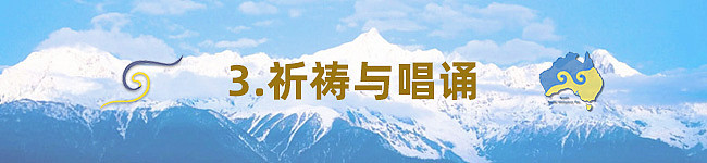 2025 第十二届澳洲噶举祈愿法会即将于8月盛大举行 - 23