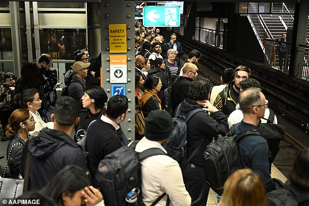 Sydney’s rail network has faced recurring service disruptions, delays, and infrastructure issues in recent months (pictured, crowds at Town Hall Station after a power outage affected the rail network in May)