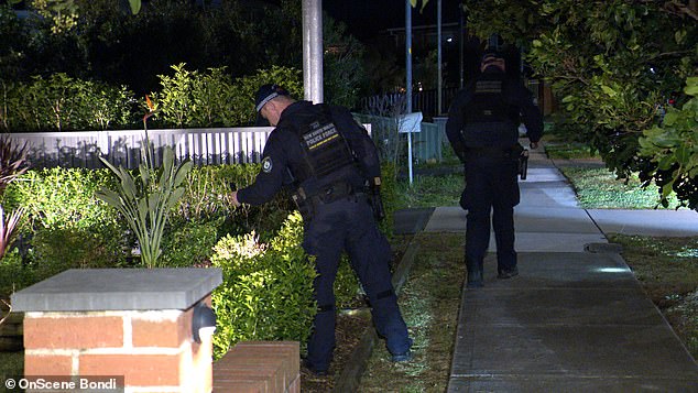 一名青少年在悉尼东区的家庭聚会上被刺伤后，警方彻夜搜寻武器