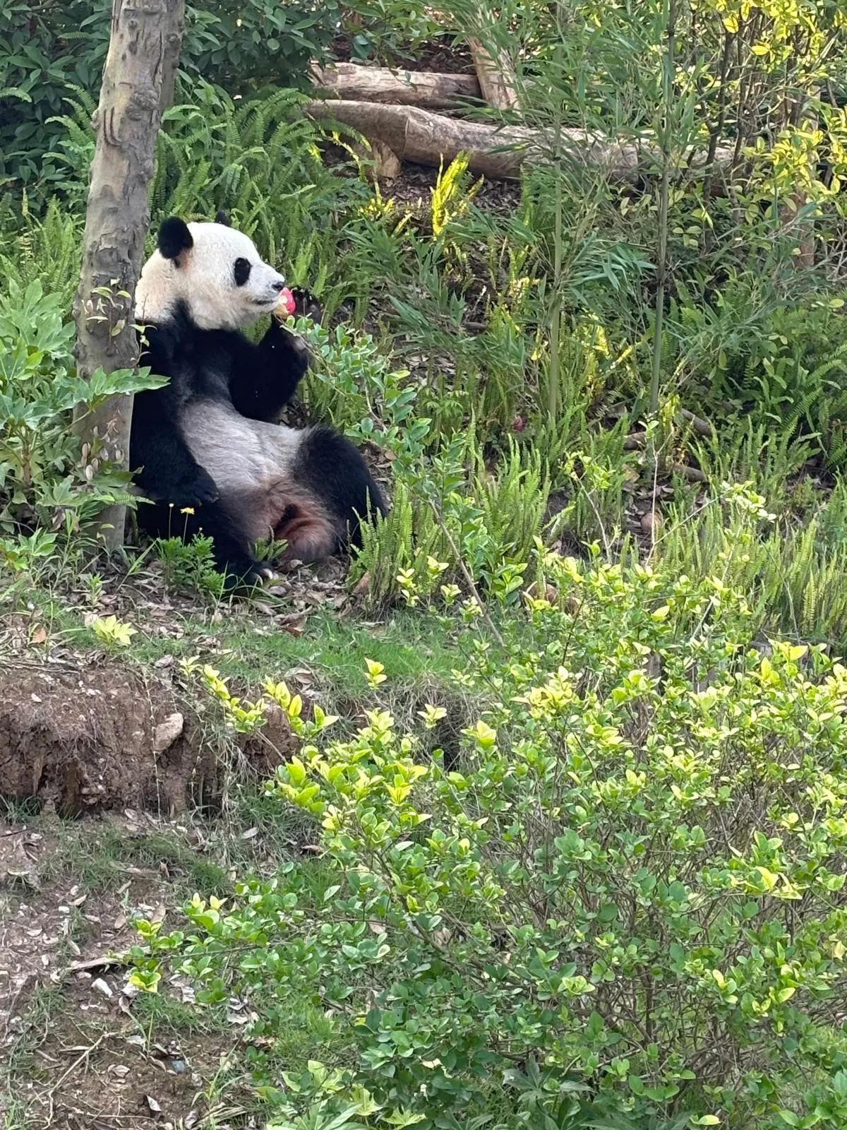 企业微信截图_17527136307762.png