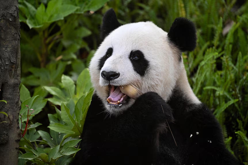 企业微信截图_17527289257095.png