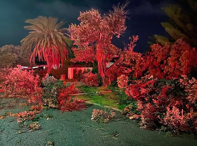 The Department for Fire and Emergency Services responded to more than 100 calls for help