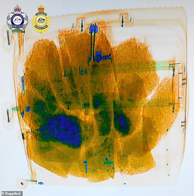 Australian Border Force officials detected an alarming discovery in the tourist's luggage