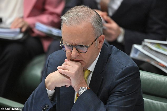 He called for the Albanese government to change copyright laws to give exceptions for text and data mining to boost AI's capacity.
