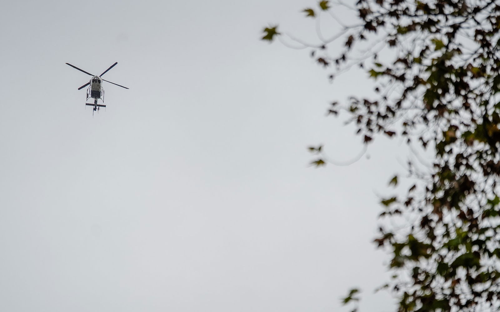 A police helicopter circles above the Sydney CBD