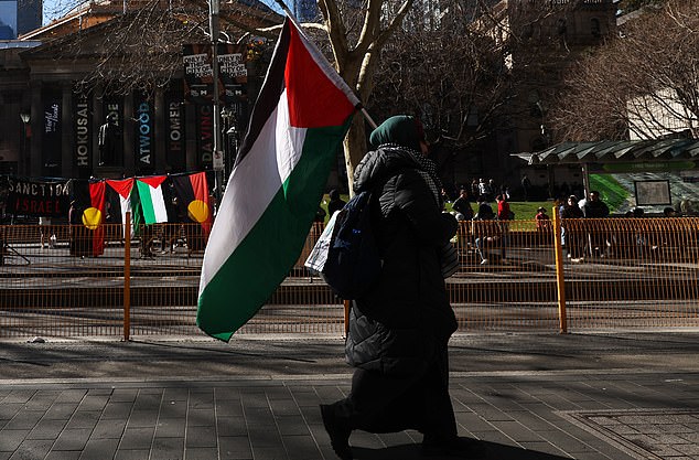 2025 年 8 月 3 日星期日,在墨尔本维多利亚州立图书馆举行的“自由巴勒斯坦”集会前,一名手持巴勒斯坦国旗的男子走过。(AAP 图片/Con Chronis)禁止存档