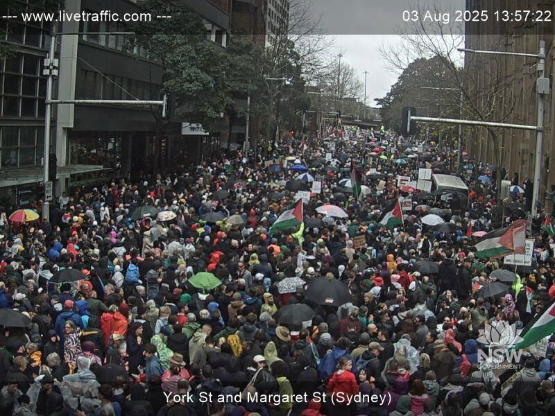An inner city road is filled with protesters wearing rain jackets and the odd umbrella
