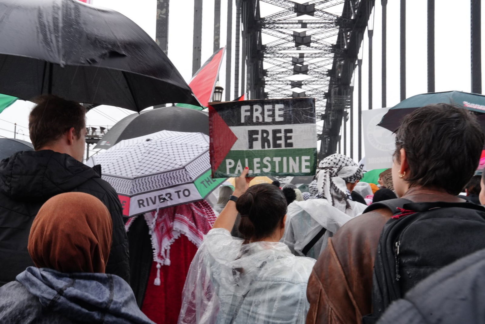 一个人举着一块画成巴勒斯坦国旗形状的牌子,上面写着:“自由,自由巴勒斯坦”