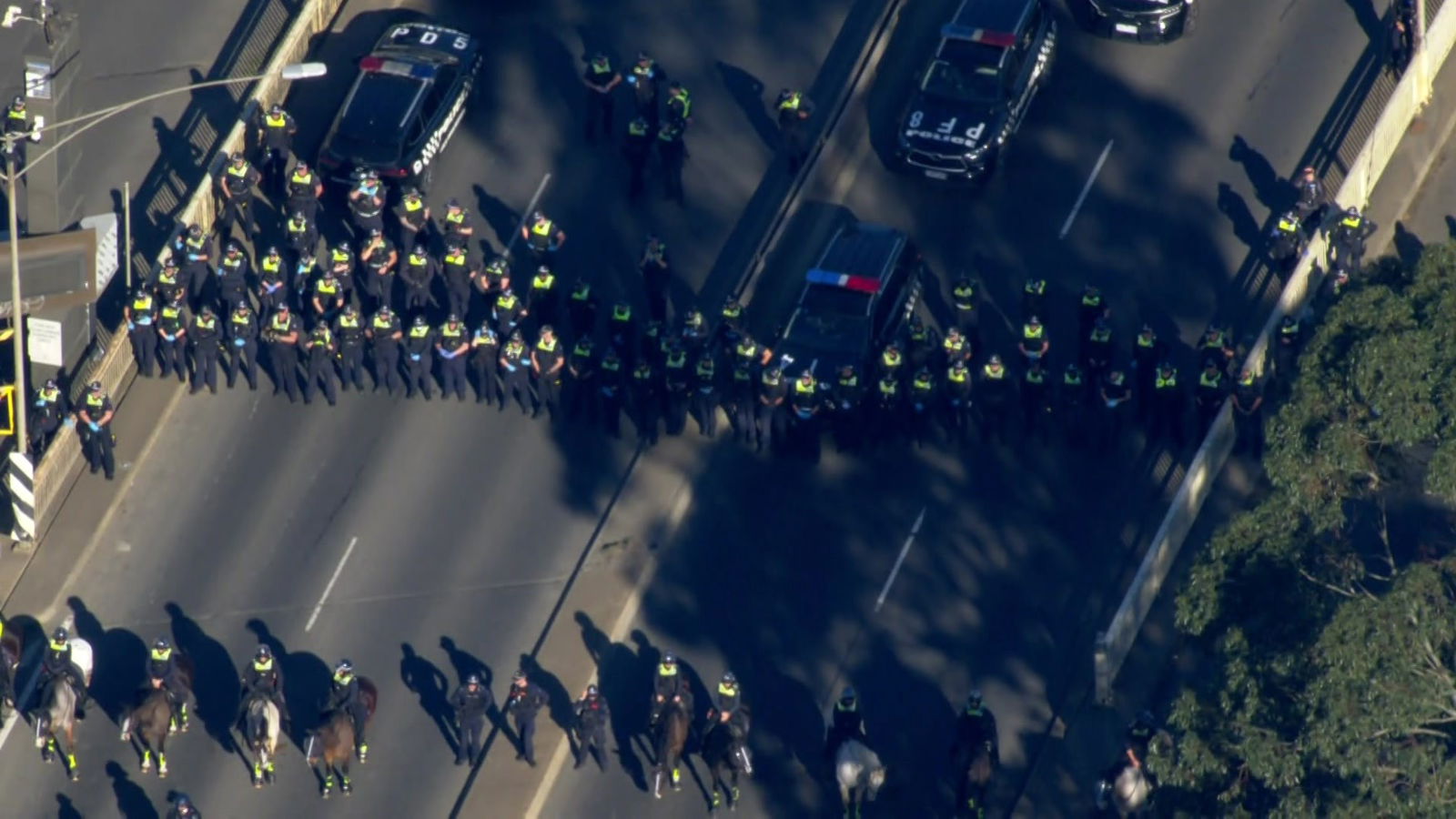 数十名警察站在靠近警车的道路上,后面是一排骑马的警察。